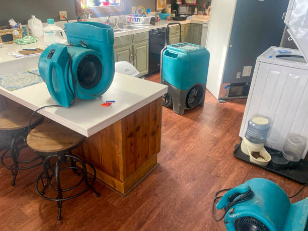 Best Carpet water damage restoration  in Nashotah, WI