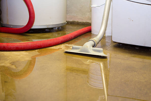 Best Water damage restoration cost  in Nashotah, WI