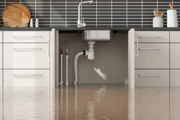 Best Carpet water damage restoration  in Nashotah, WI