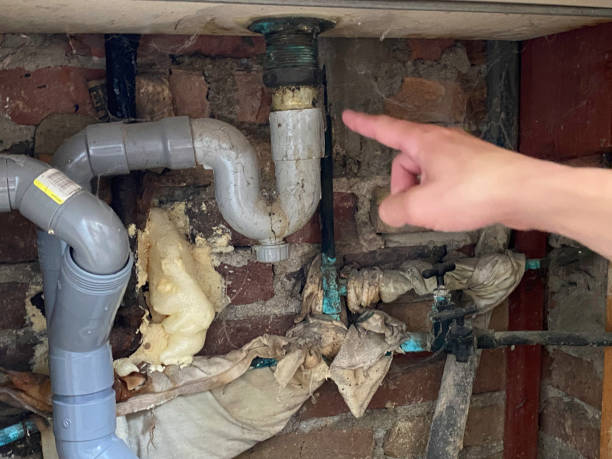 Best Fire Damage Restoration  in Nashotah, WI