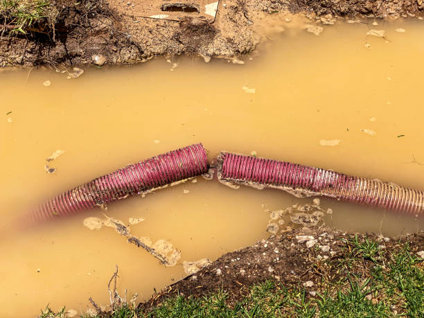 Best Water damage cleanup near me  in Nashotah, WI