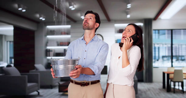Best Water damage cleanup near me  in Nashotah, WI