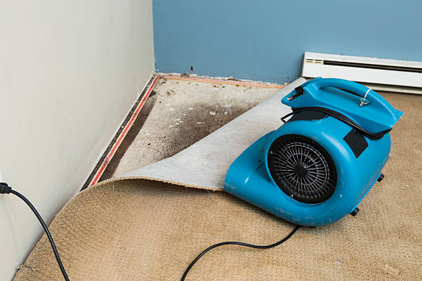 Fire Damage Restoration in Nashotah, WI